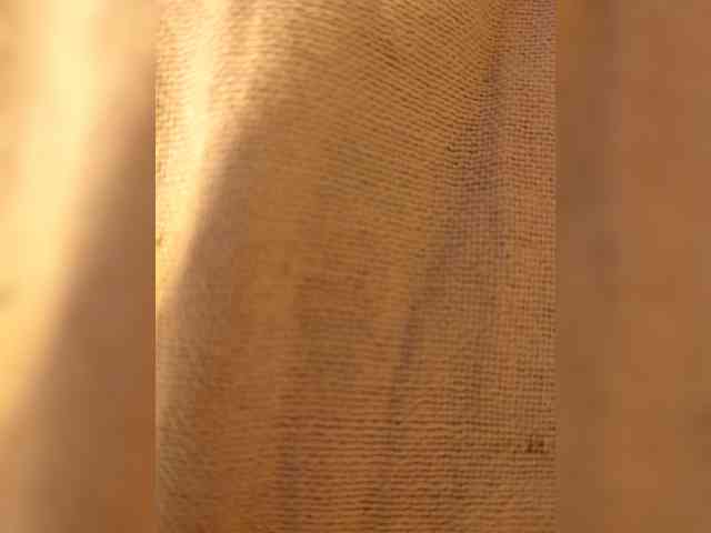 VasilisaAndSergey webcam