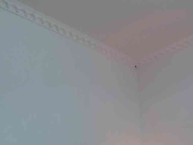 Sussana-naughty webcam