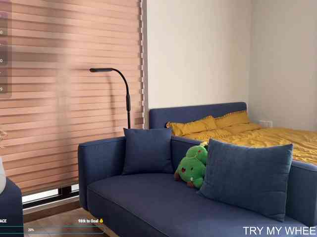 kimryu webcam