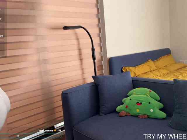 kimryu webcam
