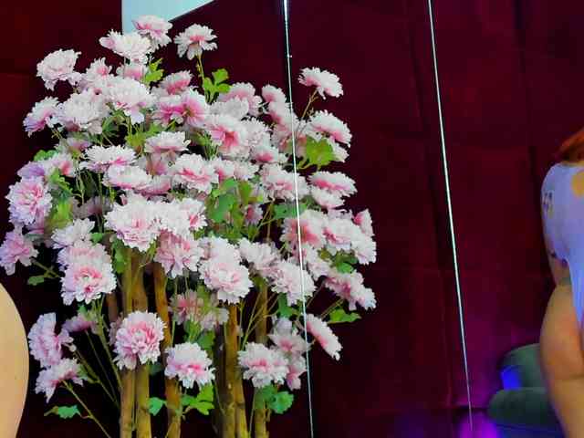 CollegeGirl69 webcam