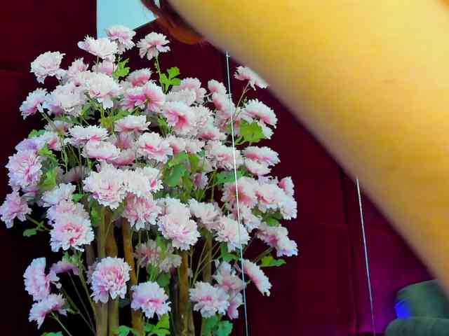 CollegeGirl69 webcam