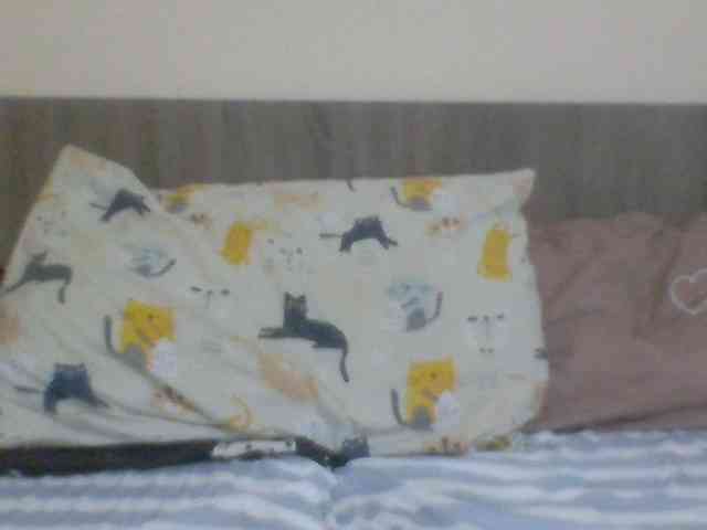 Evelynevasara1 webcam