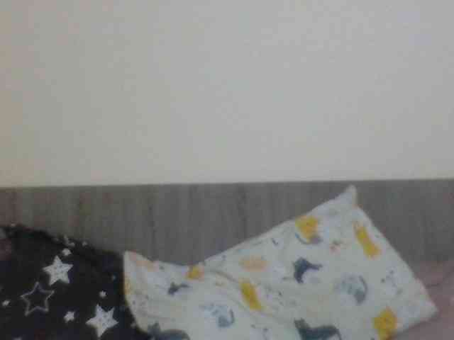 Evelynevasara1 webcam