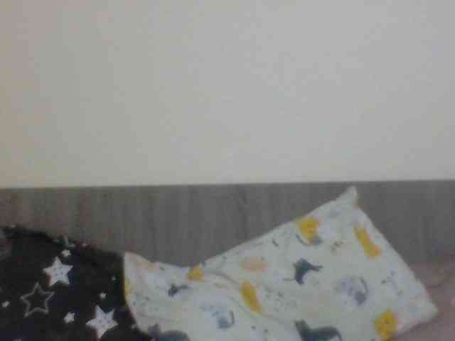 Evelynevasara1 webcam