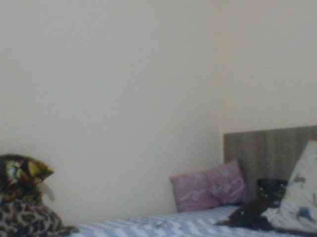 Evelynevasara1 webcam