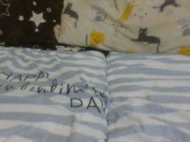 Evelynevasara1 webcam