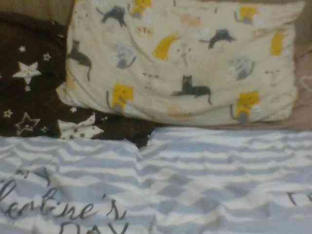 Evelynevasara1 webcam