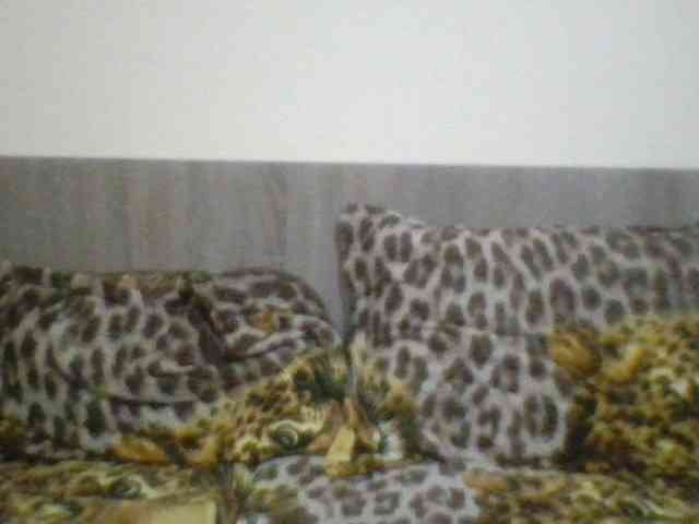 Evelynevasara1 webcam