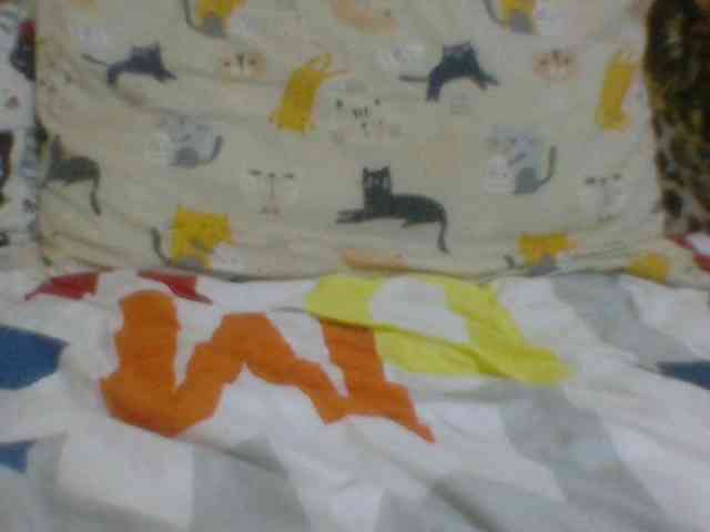 Evelynevasara1 webcam