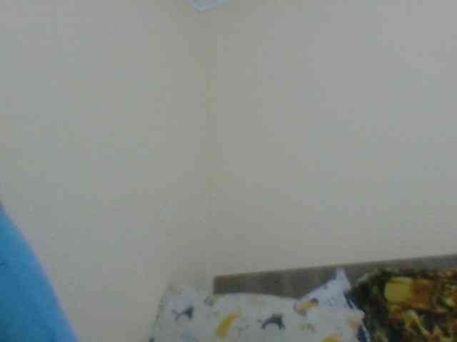 Evelynevasara1 webcam