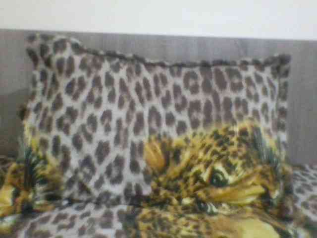 Evelynevasara1 webcam