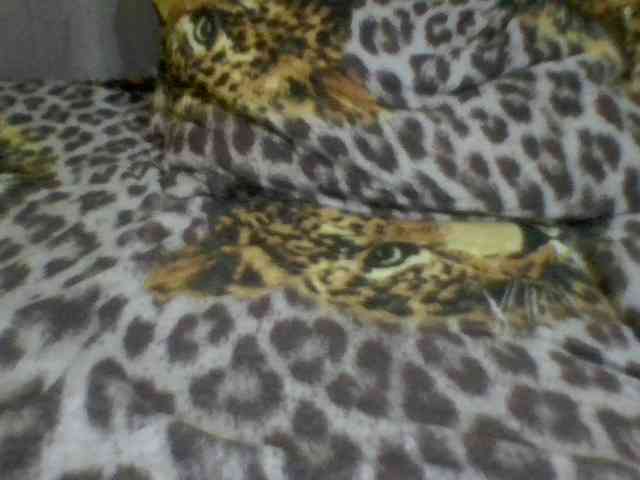 Evelynevasara1 webcam