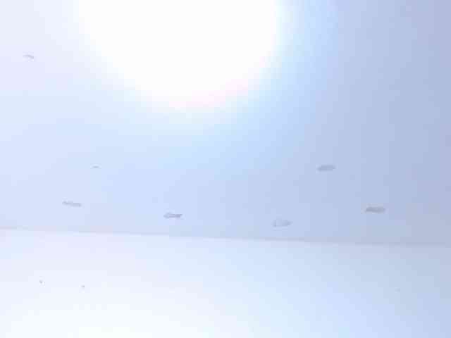 JimmyPamela webcam