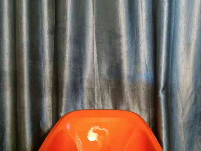 Chocoslut22 webcam