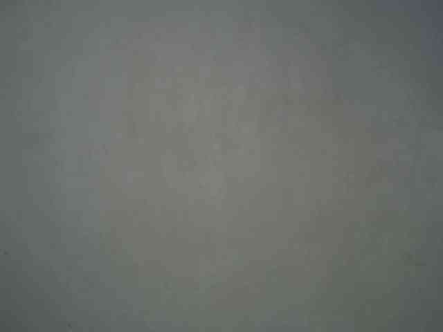 Freakyslut5 webcam