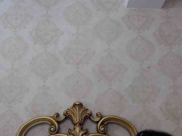 misterydelyaa webcam