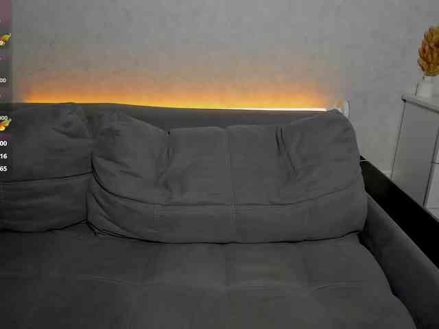 MILLEDIUM webcam
