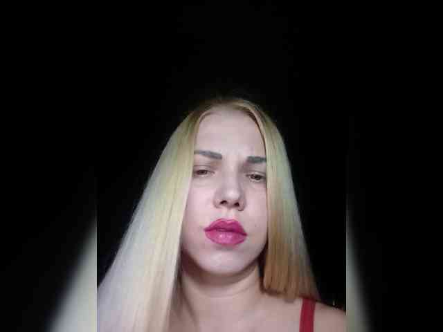 AnyDasty webcam