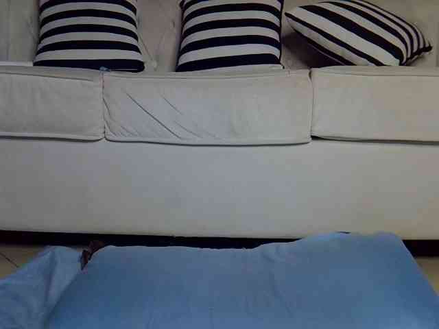 Sweetapple webcam