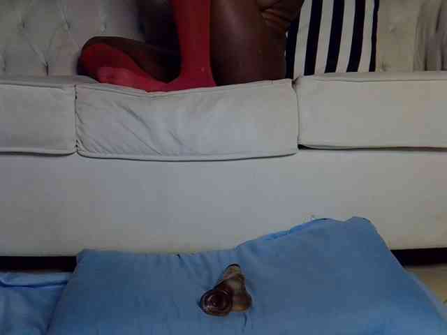 Sweetapple webcam