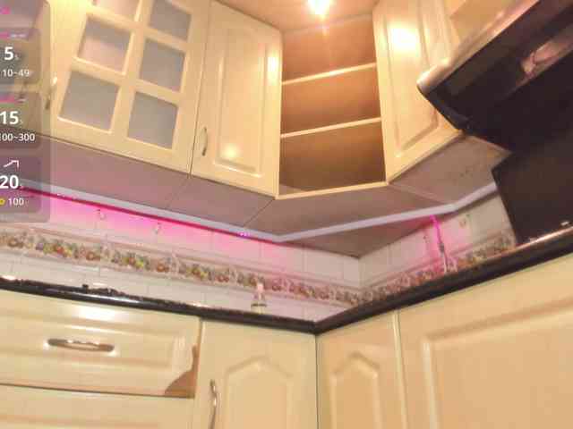 Marian-Reynolds webcam