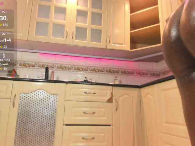 Marian-Reynolds webcam