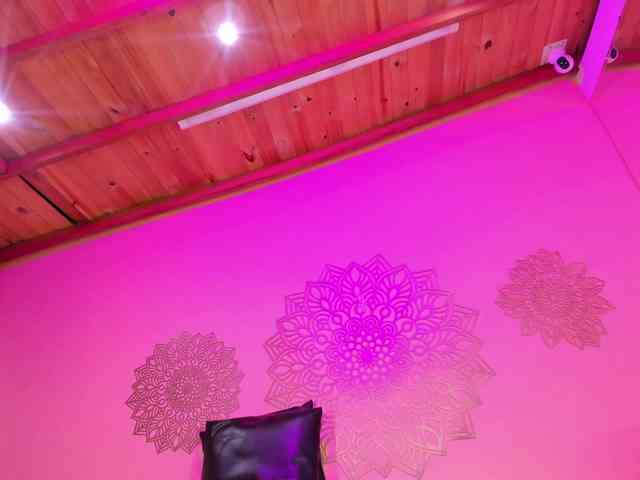 Marian-Reynolds webcam