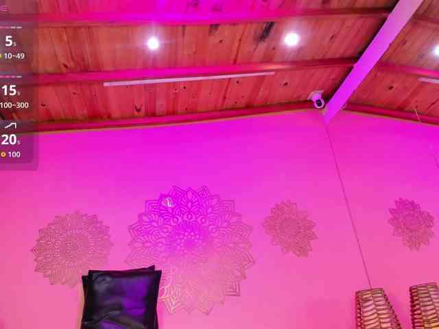 Marian-Reynolds webcam