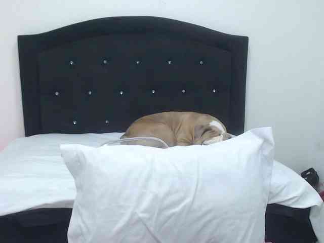 Angel-ink-333 webcam