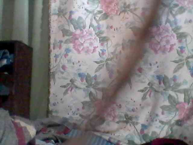 Andreaxs webcam