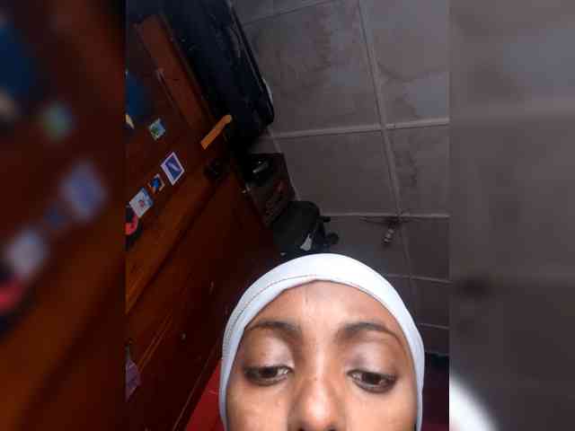 Luna-28 webcam