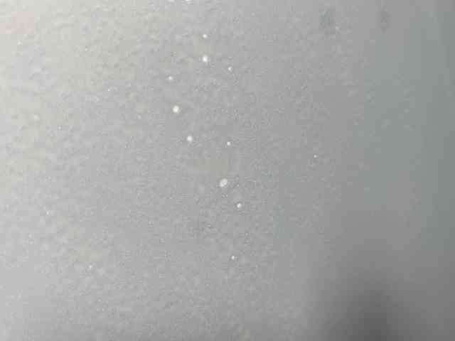 ChelseaLascurain webcam