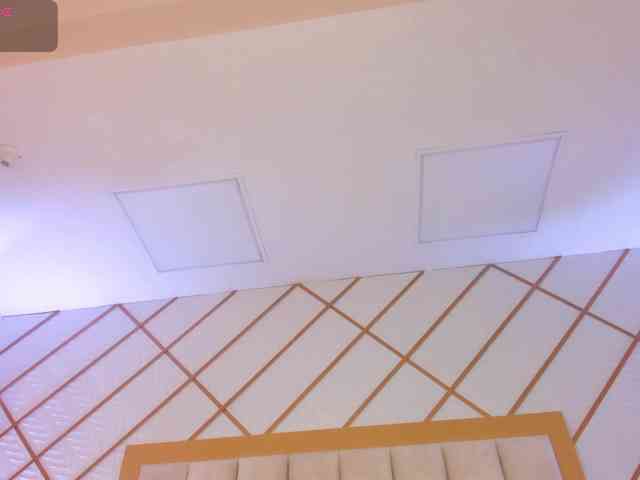 cocodamore webcam