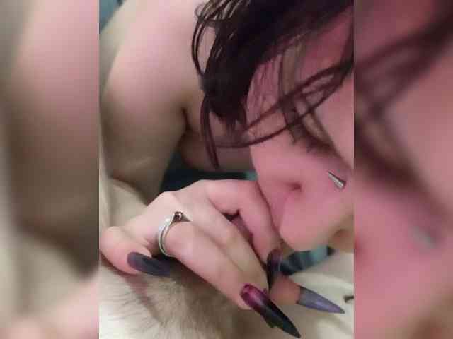 Piskadaw20 webcam