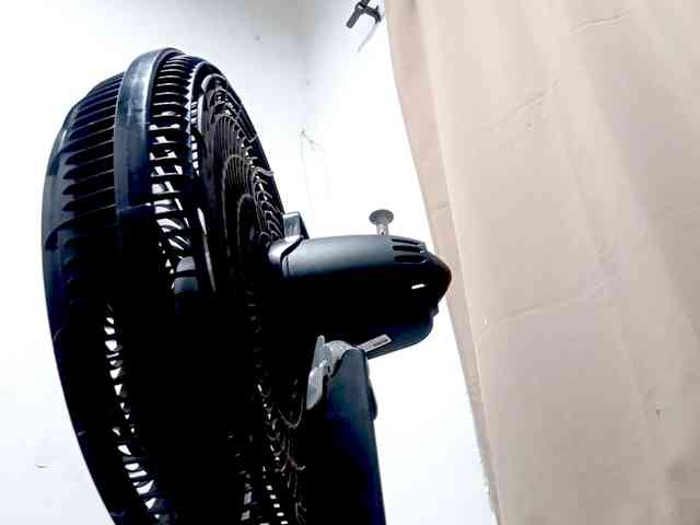 PetiteIvoryqueens webcam