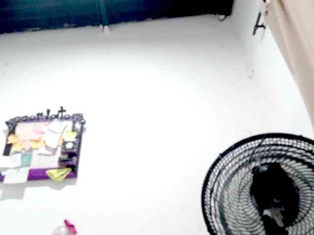 PetiteIvoryqueens webcam