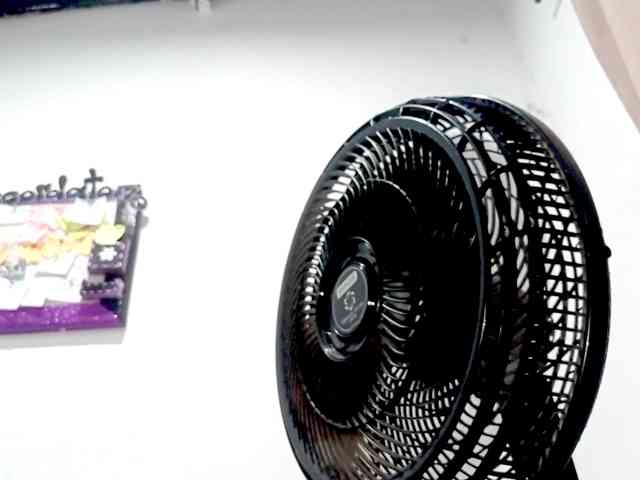 PetiteIvoryqueens webcam