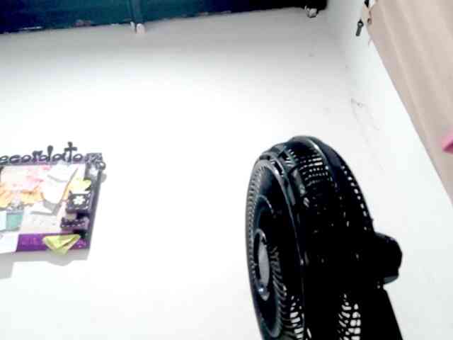 PetiteIvoryqueens webcam