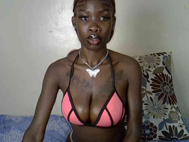 Petitelunar webcam