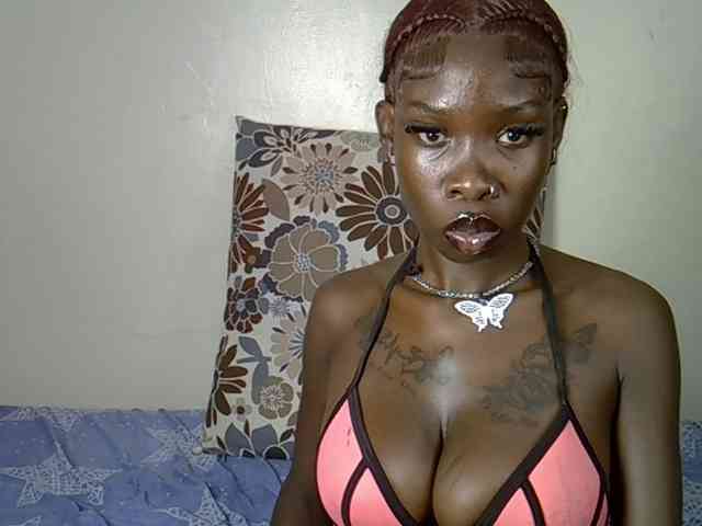 Petitelunar webcam