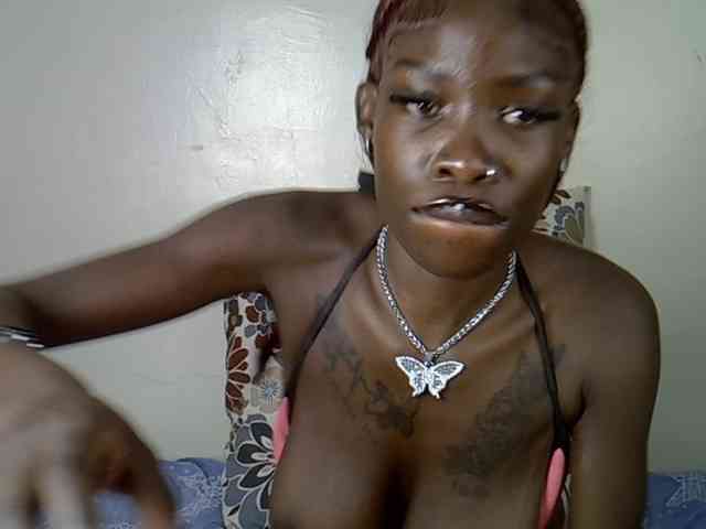 Petitelunar webcam