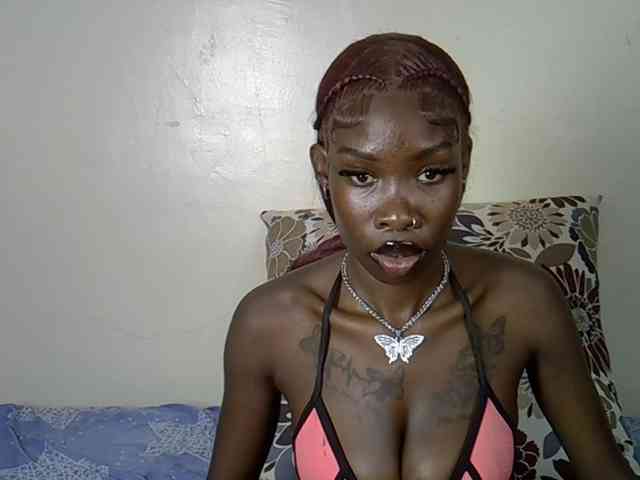 Petitelunar webcam