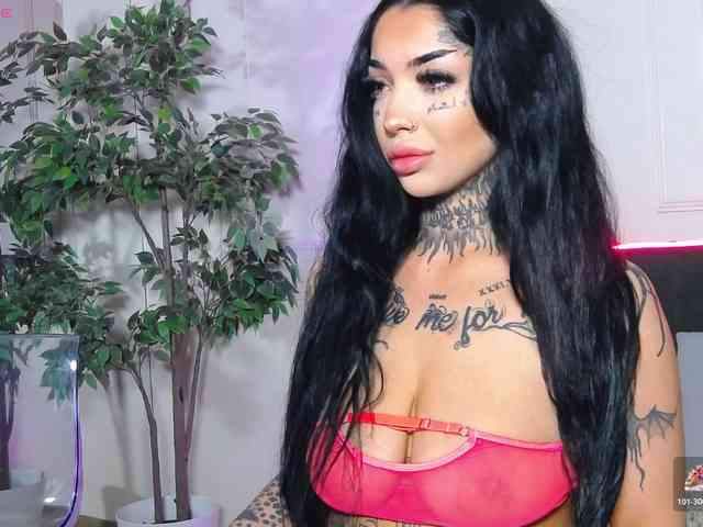 CreamyInk webcam