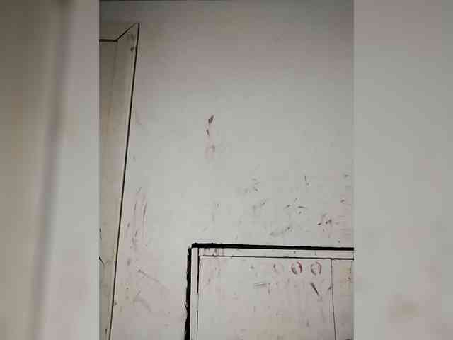 Chinanochina1 webcam