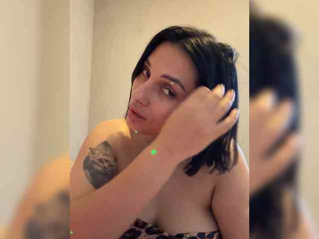 murr-kytty webcam