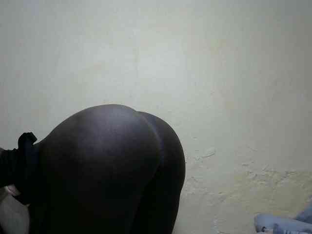 Sweetpussie webcam