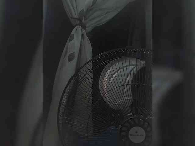 Angelnight24 webcam