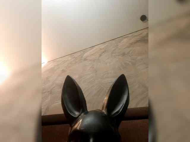 Vikysha webcam