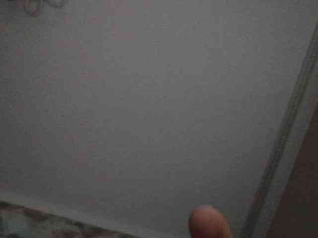 feyia webcam